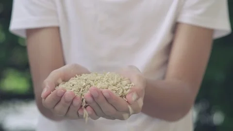 4k selective focus high nutrition brown rice drop on kid hand movement 库存影片 125553273