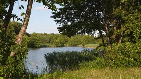 4K Serene Lake Reflection Sunlight Dappled Green Forest Edge Calm Waterscap.. Stock Footage 339519549
