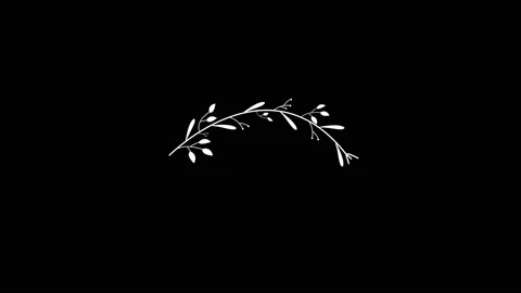 4K Set of hand drawn leaves animation Stock Footage 149979121