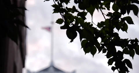 4K SHALLOW DEPTH LEAVES SUPERIMPOSED OVER AN AMERICAN FLAG Stock Footage 131461632