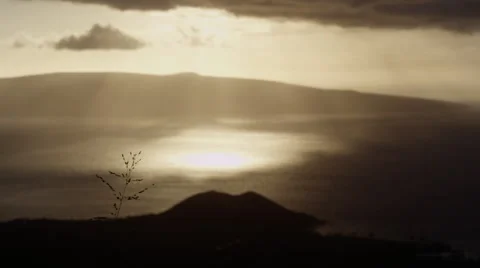 4K: Shallow Focus Background Plate with God Rays and Foreground Stock Footage 65793149