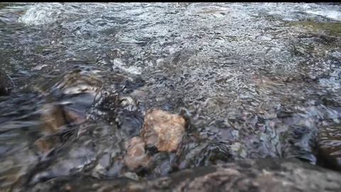 4K Shallow River Water Flowing Over Stones in Natural Landscape Stock Footage 336749777