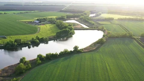 4K. Shooting with the drone top view, the shore of the pond. Stock Footage 131470286