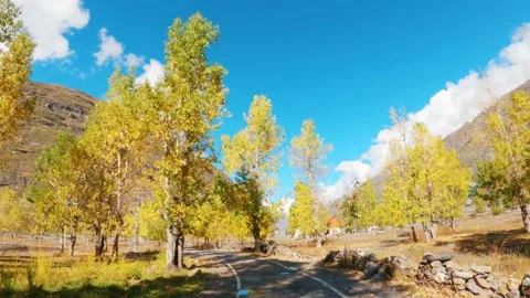 4K shot of bumpy road covered with autumn trees on both side in Sissu Village, L Video stock 237304642
