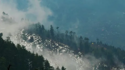 4K shot of clouds covering the Pine tree forest during the winter season  Stock Footage 345485751