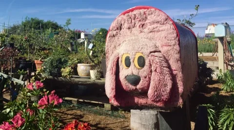 4k shot of cute mailbox at a garden in the shape of a dog 動画素材 63107277