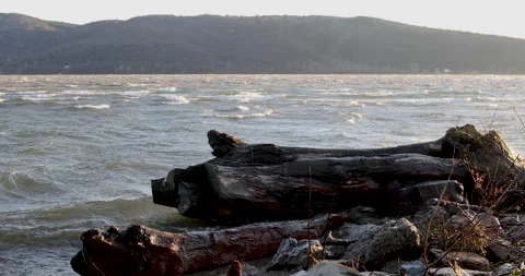 4k shot of a driftwood on a beach while the waves come crashing on Danube river Stock Footage 224255753