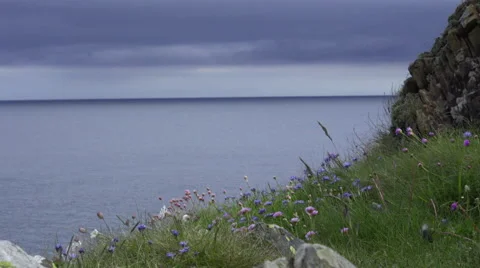 4K shot of grassy fields against rocky hills and beautiful sea skyline Stock Footage 51357127