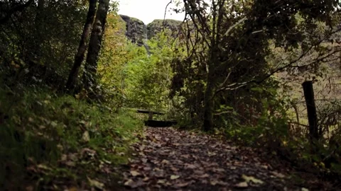 4k Shot in Ireland of Devils Chimney (Trail head) Stock Footage 321843569