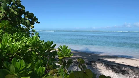 4K Shot of Paradise Beach 動画素材 166013184