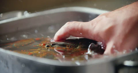 4K Side View Chef grabbing live lobster from an ice tray Stock Footage 132961513