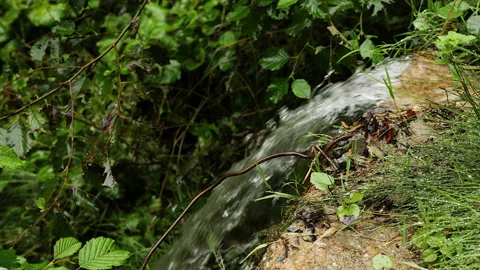 4K. Side view of a small waterfall in the forest. Slow Video stock 211338408