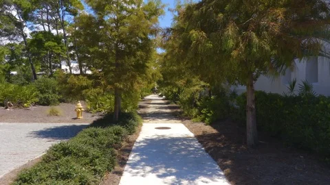 4K Sidewalk Surrounded by Trees With Fire Hydrant Video stock 111282430