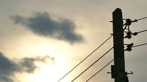 4K silhouette electricity pole on sunset cloudy sky smoothly flowing Stock Footage 99496828