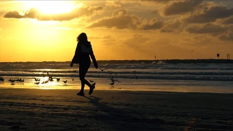 4k silouette1 Stock Footage 96709401