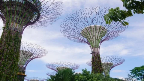 4K Singapore park Gardens by the Bay with it's famous supertrees view. Vidéo 110012084