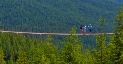 4K Sky Pilot Suspension Bridge, Squamish Gondola, Sea to Sky Corridor Stock Footage 41536518
