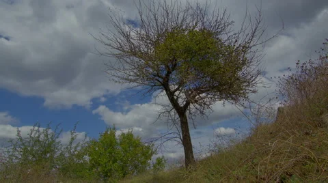 4K Sky time lapse motorized slider with moving clouds. Stock Footage 42655521