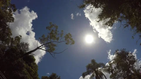 4K Sky Timelapse with Trees Video stock 46800470