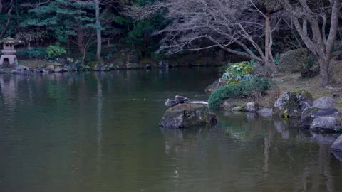 4K, Slow, clear lake surrounded by rocks hill above cherry blossom tree, Stock Footage 237977773