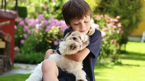 4K slow motion 60 fps footage of a joyful young boy smiling while embracing h Stock Footage 342663571