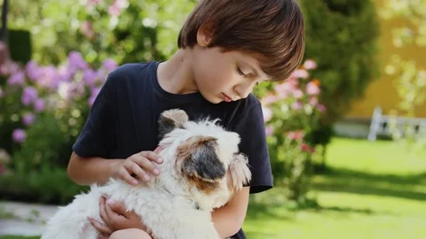4K slow motion 60 fps footage of a gentle young boy embracing and petting his Stock Footage 342663579