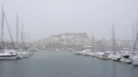 4K Slow motion blurry out of focus HD shot of winter day snowing on tree Stock Footage 148432059