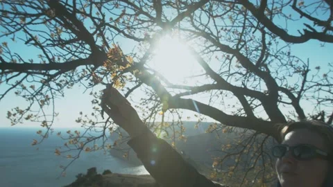 4K Slow motion Close-up of hand touching a tree trunk in the forest with sun Stock Footage 158389197