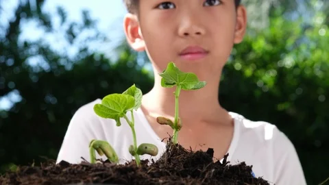 4k Slow motion close up kid spray water by foggy to young seedling  Stock Footage 125141722