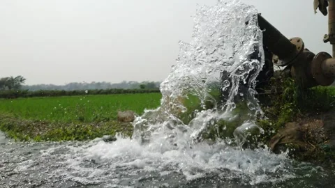 4k Slow motion close-up view of Irrigation Pump Gushing water flows rice fields Stock Footage 311588498