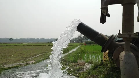 4k Slow motion close-up view of Irrigation Pump Gushing water into rice fields Stock Footage 311588516