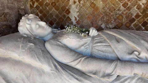 4K Slow Motion Detail Of Elsbeth Wegener Passarge Tomb Stock Footage 336280730