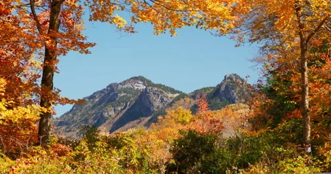 4K Slow Motion Falling Autumn leaves looking at a majestic mountain through an Stock Footage 229583118