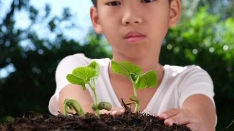 4k Slow motion front view kid hand take care little seedling  Stock Footage 125141765