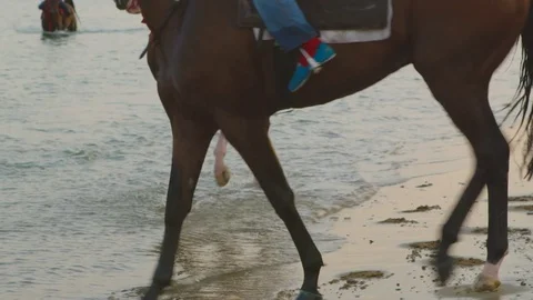 4k slow motion. Group of horses training for the race at the seashore. Stock-Footage 75422360