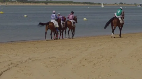 4K Slow motion of jockeys go horseback riding on the beach Stock Footage 75422271
