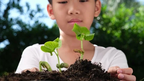 4k Slow motion kid hand take little seedling  Stock Footage 125142071