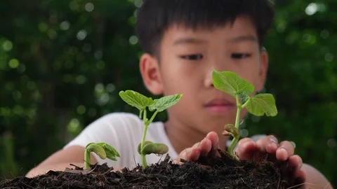 4k Slow motion kid take care little seedling  Stock Footage 125142641