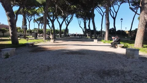 4K Slow Motion Perspective View Of Orange Tree Alley Rome Vidéo 331541079