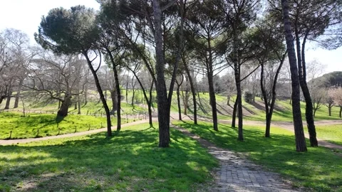 4K Slow Motion Perspective View Of Blooming Rome City Park Vídeos de archivo 332274910