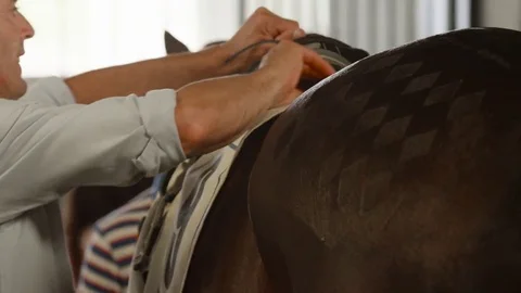 4k slow motion. Placing the mount on the horse Stock Footage 75423179