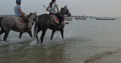 4k slow motion Rider training an English Thoroughbred horse on the beach Stock Footage 75423009