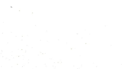 4k Slow motion. Seamless loop pattern gold silver confetti two explosions  Stock Footage 244743586