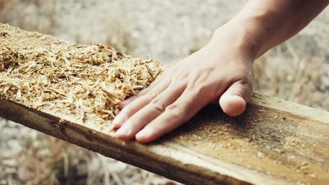 4k slow motion Shoot.Professional Carpenter working on woodworking machines Видео 125649934