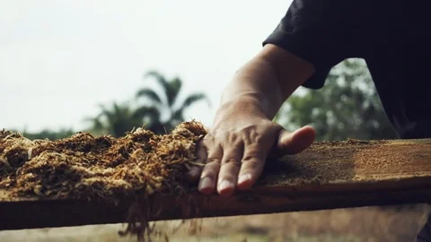 4k slow motion Shoot.Professional Carpenter working on woodworking machines Видео 125650074