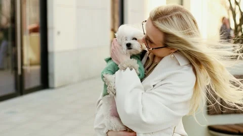 4K slow motion of a stylish blonde woman holding her cute Maltese dog outdoor Stock Footage 344555332