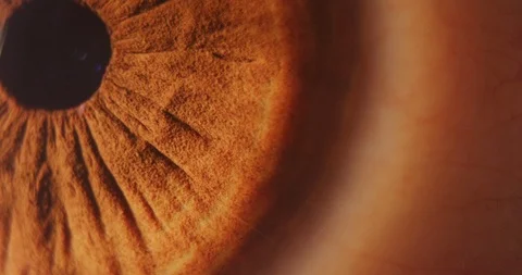 4k slow motion ultra closeup shot of an eye looking sides and direct to the came Stock Footage 106257593