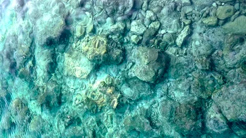 4K slow motion video of clear turquoise seawater flowing over rocks. Natural Stock Footage 328076676
