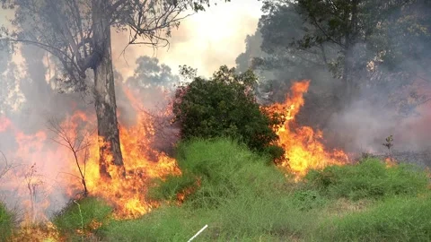 A 4K Slow Motion video of a field burning up with high flames  pushing Stock Footage 254021143