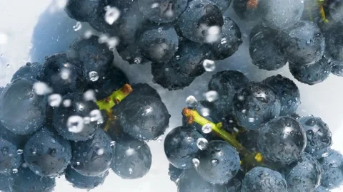 4K slow motion video of large grapes being washed in the shower. Stock Footage 210119077